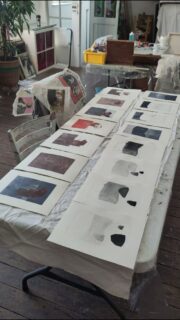 #roche #artcontemporain #monotype